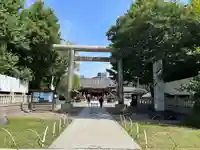 浅草神社の鳥居
