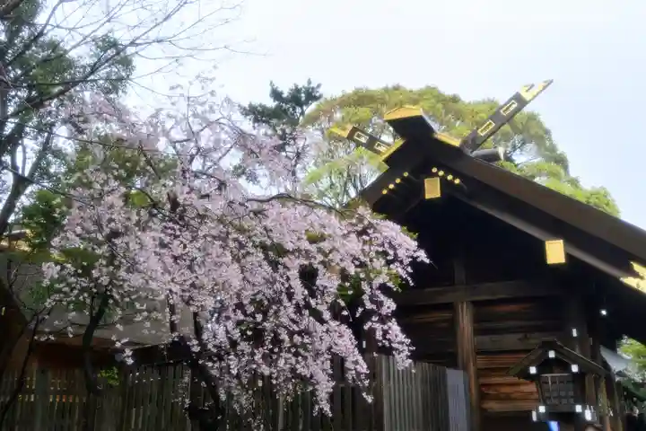 伊勢山皇大神宮の自然