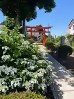 大野神社の鳥居