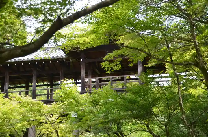 東福禅寺(東福寺)(京都府)