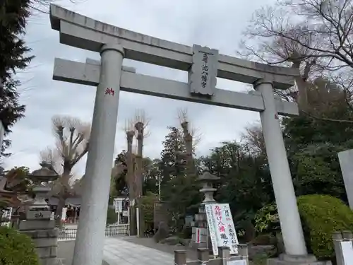 亀ケ池八幡宮の鳥居