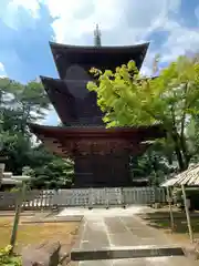 豪徳寺(東京都)