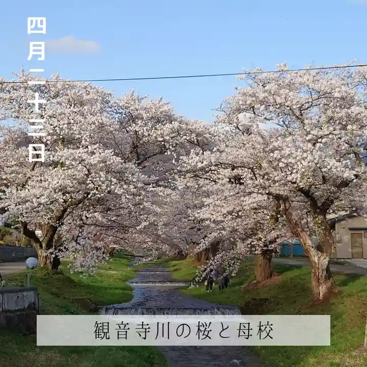壽徳寺 じゅとくじの自然