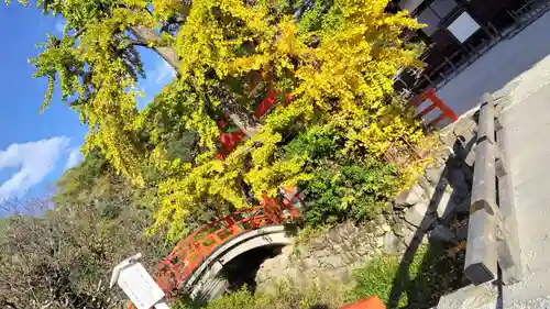賀茂御祖神社（下鴨神社）(京都府)