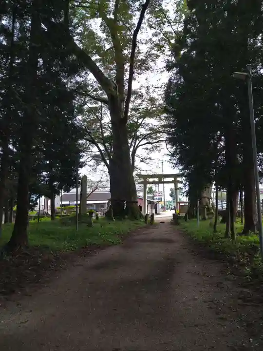 智賀都神社のその他建物