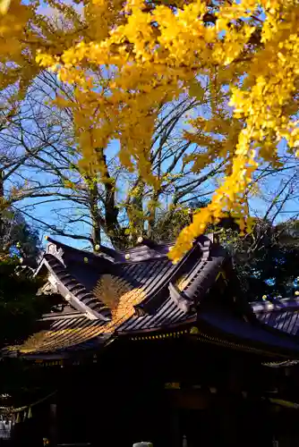 玉敷神社(埼玉県)