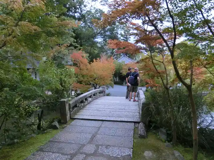 禅林寺(永観堂)(京都府)