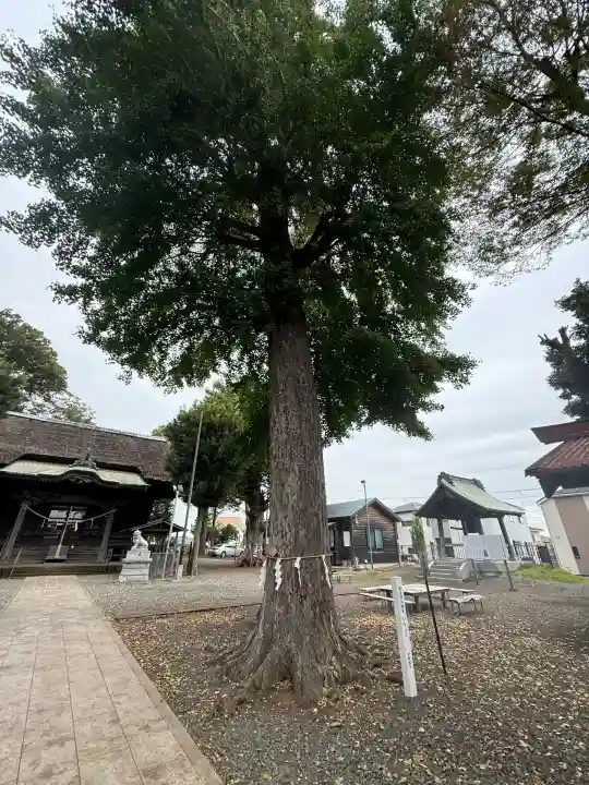 髙部屋神社(神奈川県)