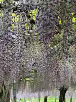 和気神社の庭園