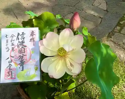 信濃國分寺(長野県)