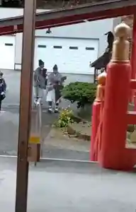 白狐山光星寺(山形県)(2023年11月18日(土) 20時19分54秒投稿)