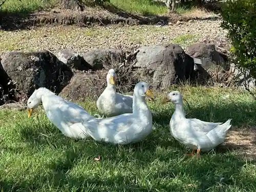 嶽之下宮(静岡県)