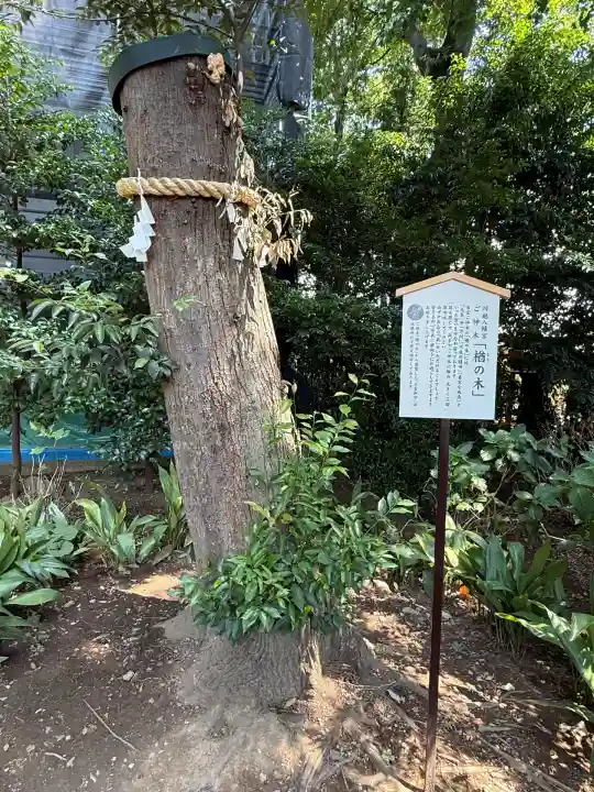 川越八幡宮(埼玉県)