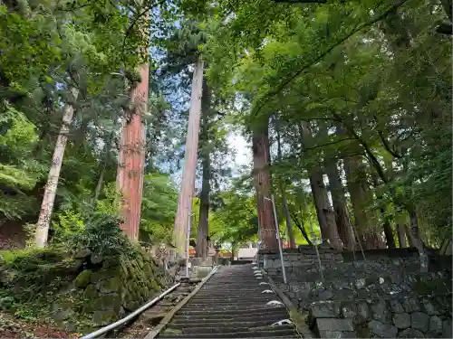 金櫻神社(山梨県)