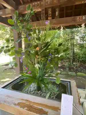 赤坂氷川神社(東京都)