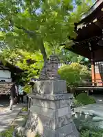 行田八幡神社(埼玉県)