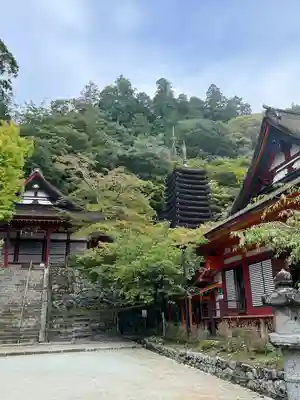 談山神社(奈良県)
