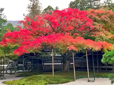千如寺大悲王院(福岡県)