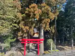 須山浅間神社の鳥居