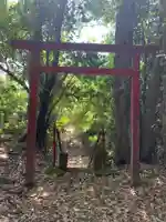 神社(名称不明)(千葉県)