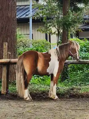櫛引八幡宮(青森県)