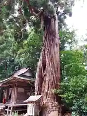 鎮守府八幡宮の自然