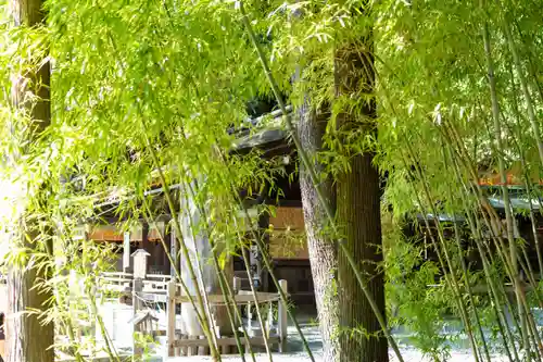 諏訪大社下社秋宮(長野県)