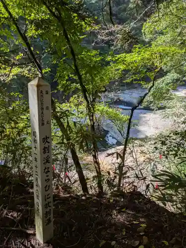 浮島観音堂の自然