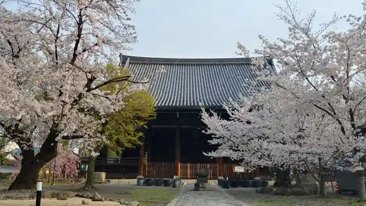 立本寺の本殿・本堂
