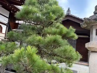 妙延寺(愛知県)