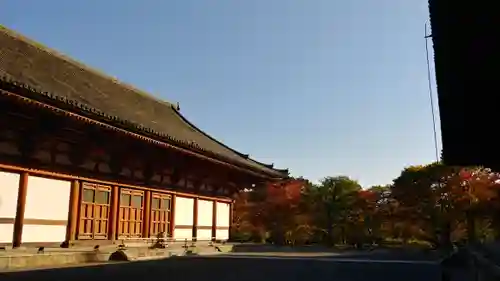 東寺（教王護国寺）の本殿・本堂