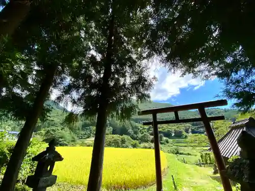 安智羅神社(松尾古城跡)の鳥居