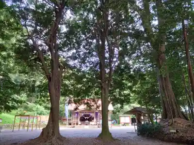 霧島岑神社(宮崎県)