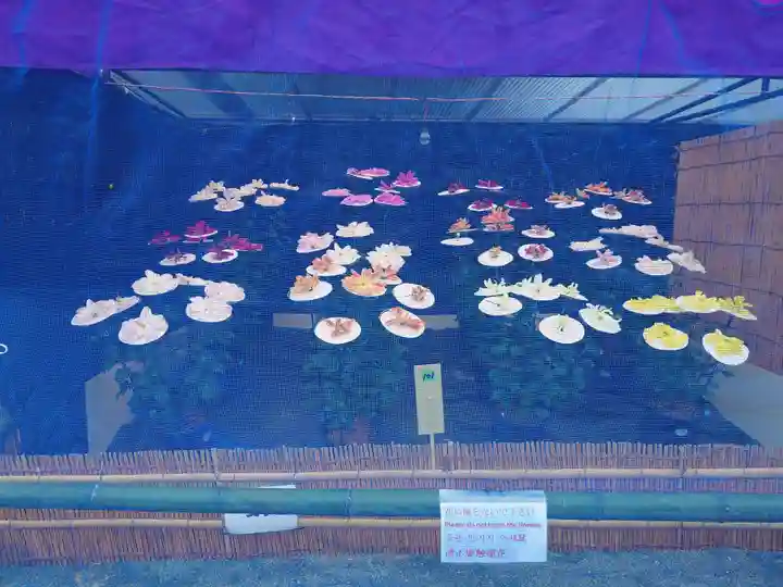 宗像大社(福岡県)