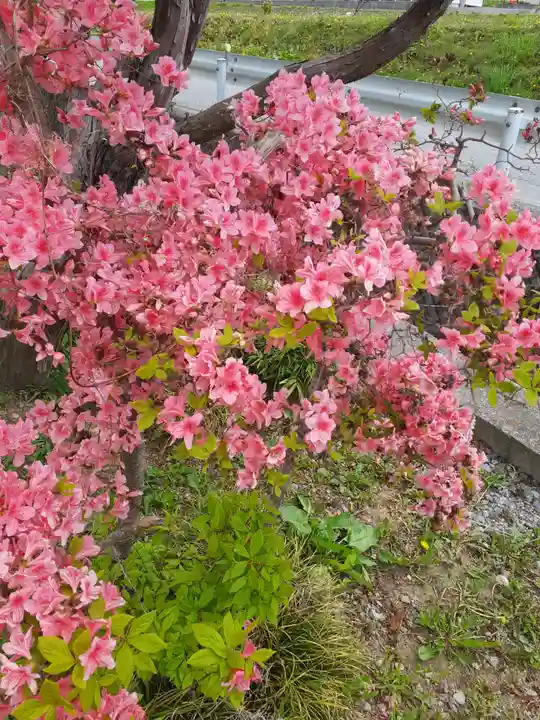 長谷寺(岩手県)