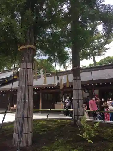 寒川神社の自然