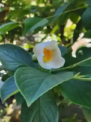 西得寺(大阪府)