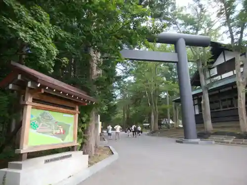 北海道神宮の鳥居