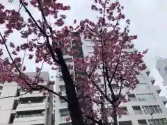 飯倉熊野神社の周辺