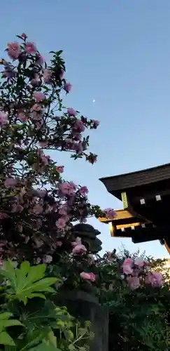 古録天神社の自然