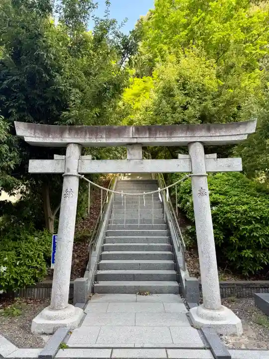 十二神社の{uncategorized: "未分類", other: "その他", undefined: "問題あり", building: "その他建物", grave: "お墓", sacred_gate: "鳥居", guardian: "狛犬", statue: "像", buddha: "仏像", history: "歴史", nature: "自然", garden: "庭園", animal: "動物", pagoda: "塔", temizu: "手水舎", mountain_gate: "山門・神門", sanctuary: "本殿・本堂", subordinate: "末社・摂社", art: "芸術", scenery: "景色", jizo: "地蔵", ema: "絵馬", goshuin: "御朱印", omikuji: "おみくじ", items: "授与品その他", amulet: "お守り", goshuincho: "御朱印帳", eats: "食事", festival: "お祭り", votive_dance: "神楽", shichigosan: "七五三参", wedding: "結婚式", experience: "体験その他", initially: "初詣", around: "周辺", anti_infection: "感染症対策"}