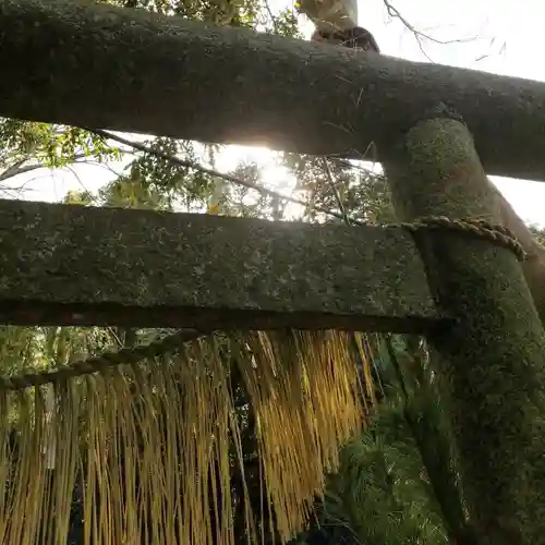 椿神社の鳥居