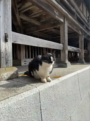 奥氷川神社(東京都)