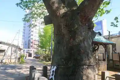 阿邪訶根神社の景色