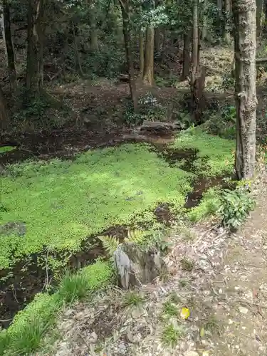 日龍峯寺(高澤観音)(美濃清水)の自然