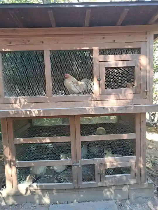 武田神社(山梨県)