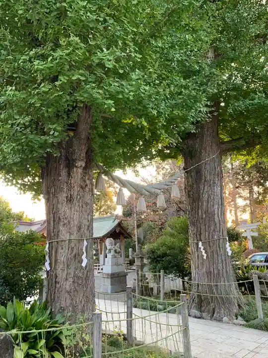 亀ケ池八幡宮の自然