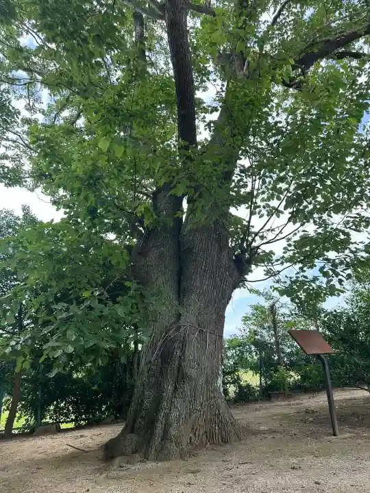 素鵞神社(茨城県)