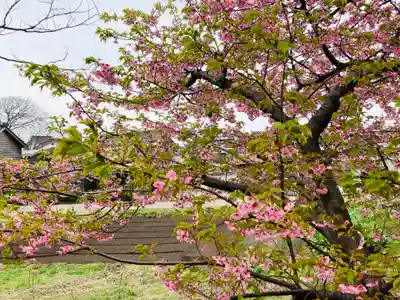神明宮(新潟県)