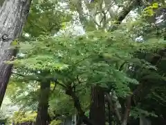 高徳院(神奈川県)